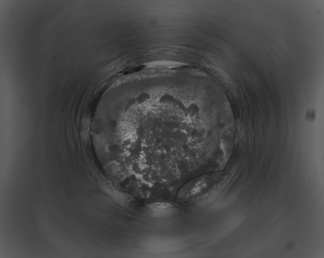 X0000095510189200801041209