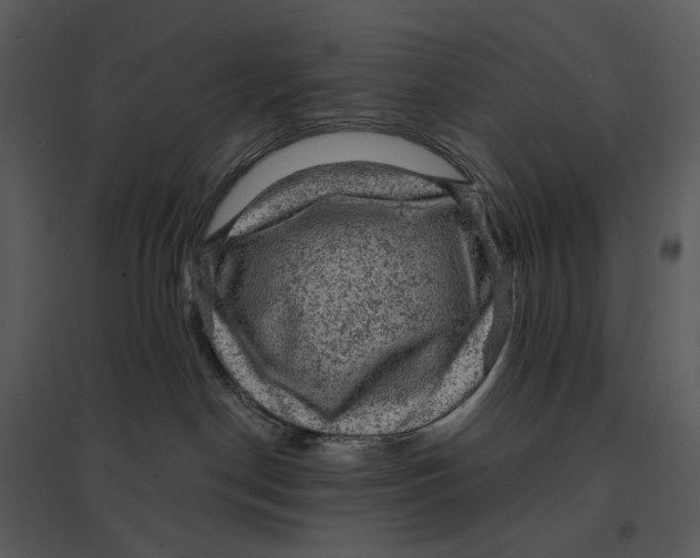 X0000095510190200801041209