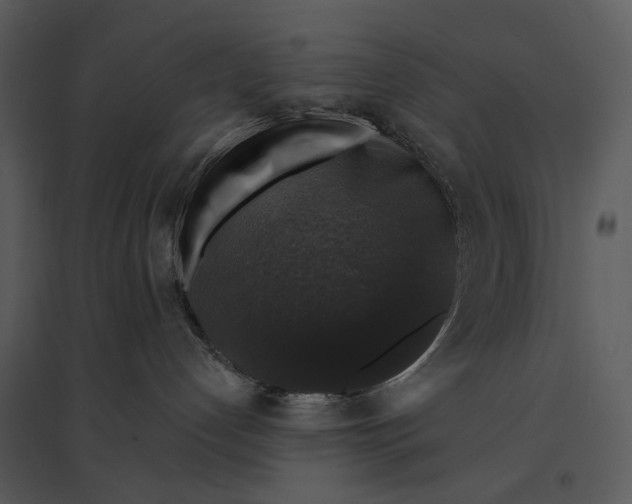 X0000095510192200801041209