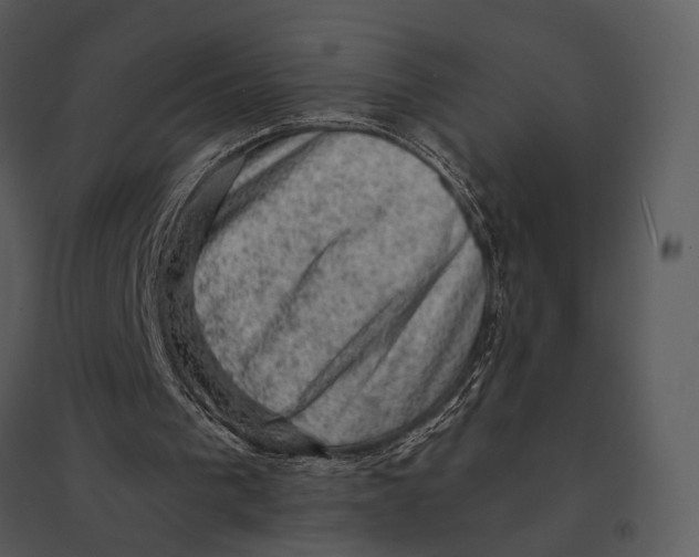 X0000095510193200801041208