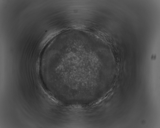 X0000095510194200801041208