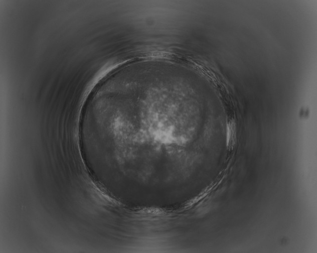 X0000095510195200801041208