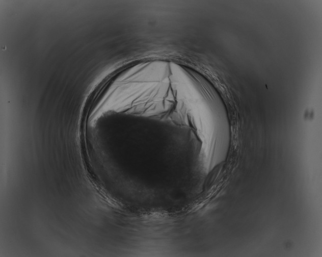 X0000095510196200801041208