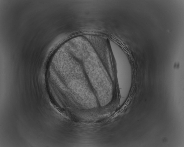 X0000095510197200801041208