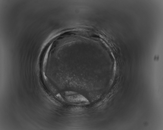 X0000095510198200801041208