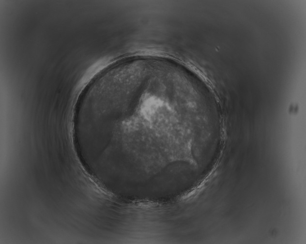 X0000095510199200801041208