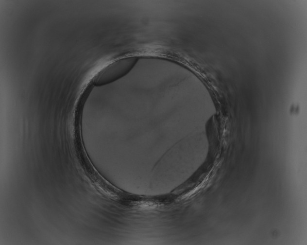 X0000095510200200801041208