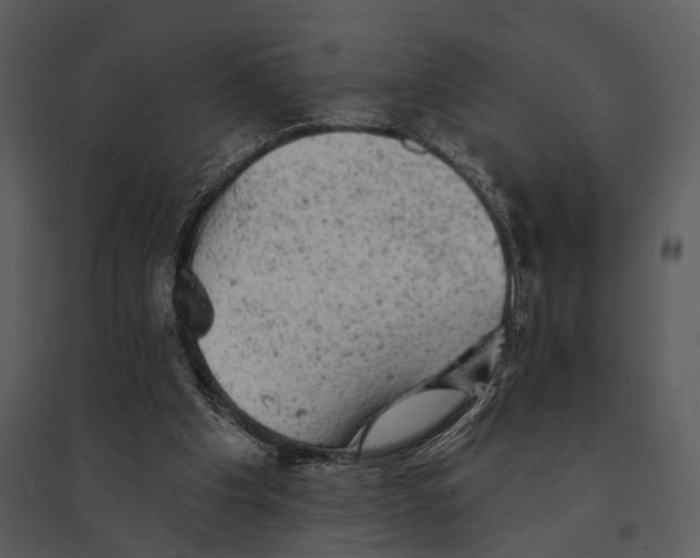 X0000095510201200801041208