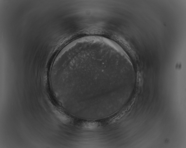 X0000095510202200801041208