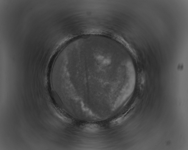 X0000095510203200801041208