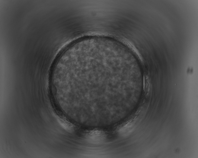 X0000095510204200801041208