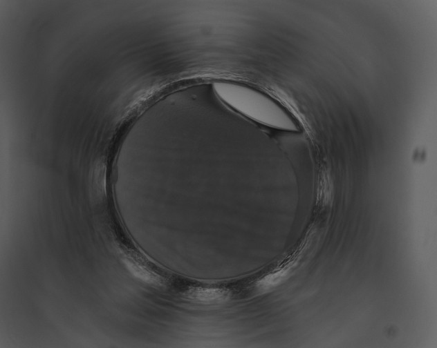 X0000095510205200801041208