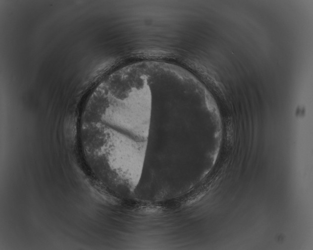 X0000095510206200801041208