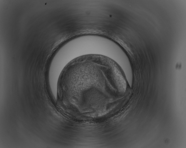 X0000095510207200801041208