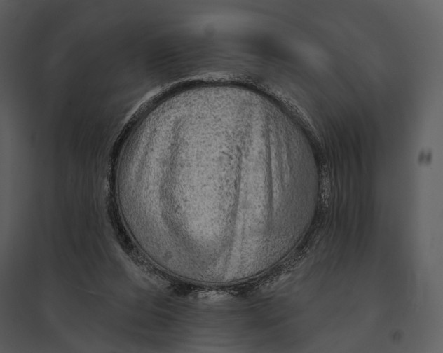 X0000095510208200801041208