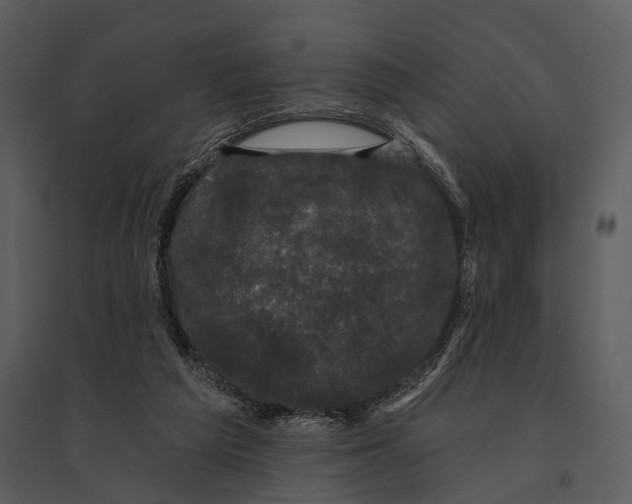 X0000095510209200801041208