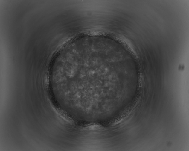 X0000095510210200801041208