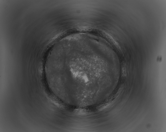 X0000095510211200801041207