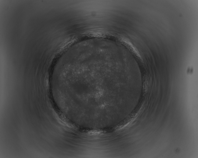 X0000095510213200801041207