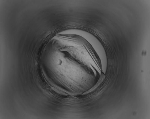 X0000095510215200801041207