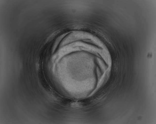 X0000095510216200801041207