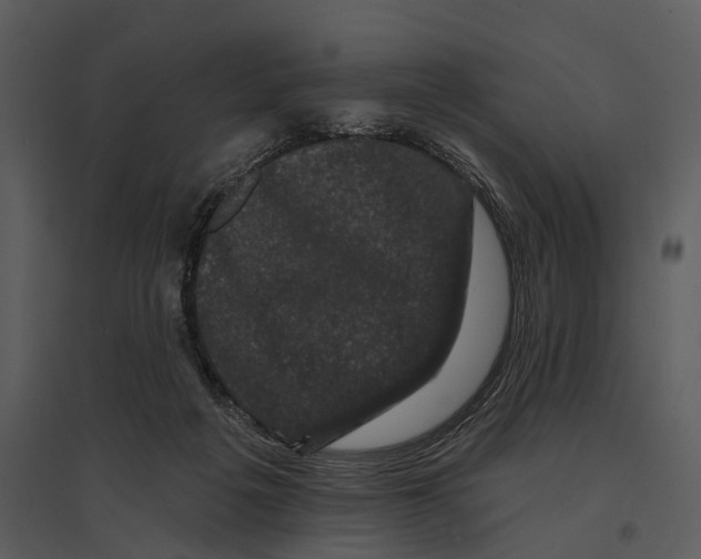 X0000095510217200801041207