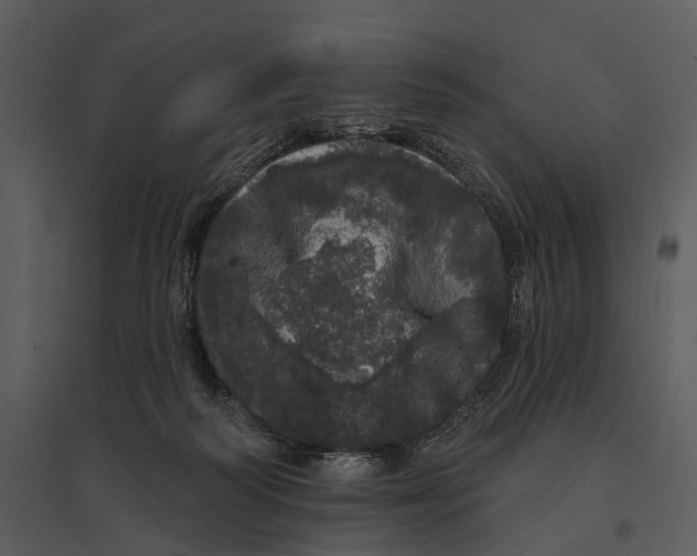 X0000095510218200801041207