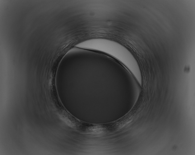 X0000095510219200801041207