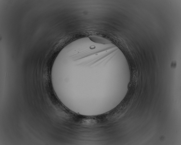 X0000095510220200801041207