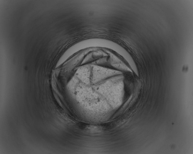 X0000095510221200801041207