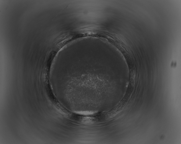 X0000095510222200801041207