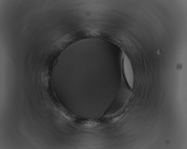 X0000095510223200801041207