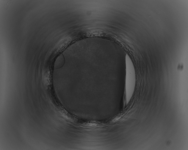 X0000095510224200801041207