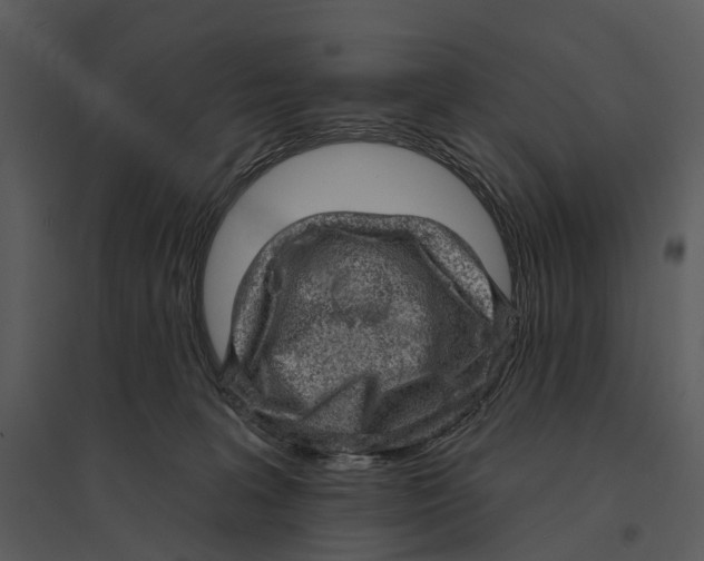 X0000095510227200801041207