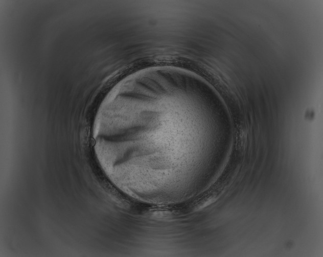 X0000095510228200801041207