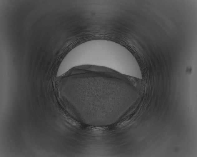 X0000095510229200801041207