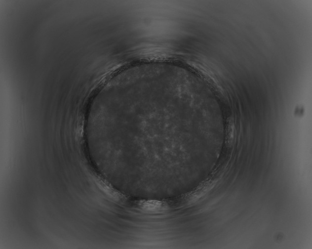 X0000095510230200801041207