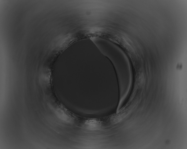 X0000095510231200801041207