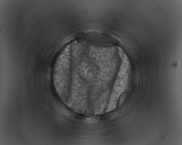 X0000095510232200801041207