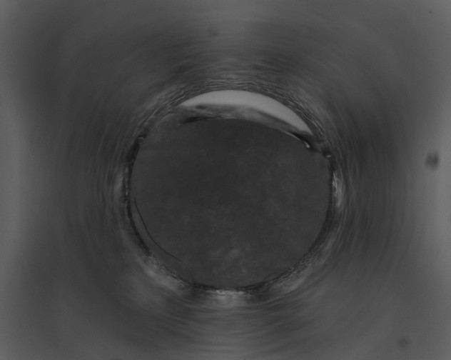 X0000095510233200801041207