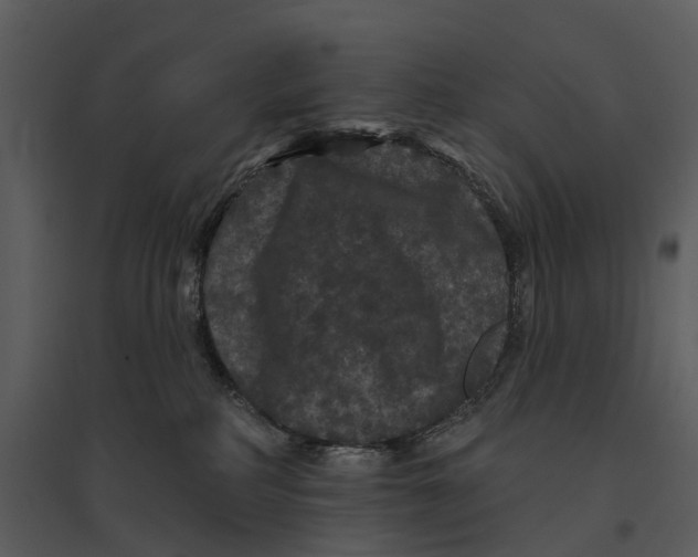 X0000095510234200801041207