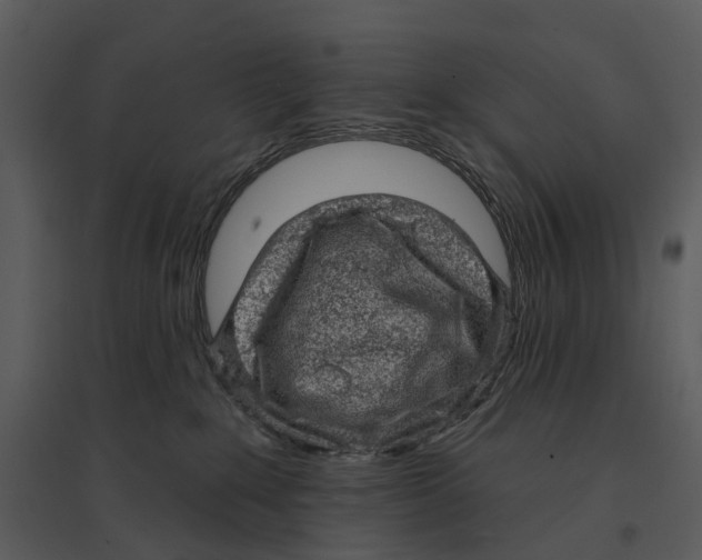 X0000095510235200801041207