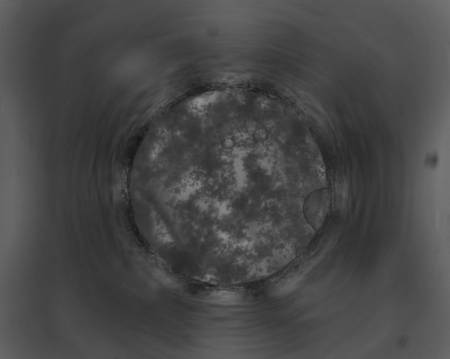 X0000095510236200801041207