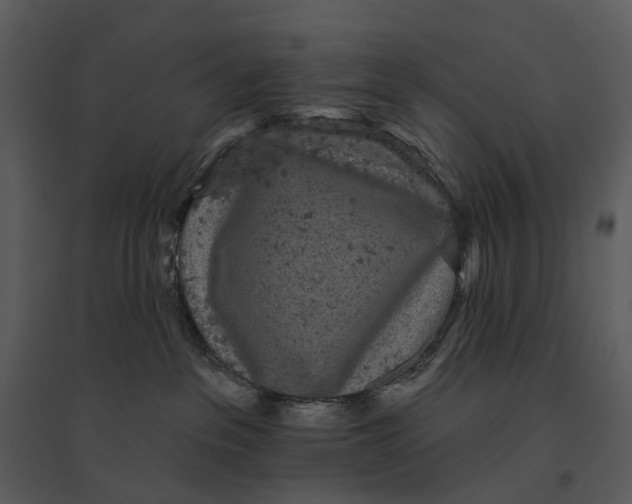 X0000095510237200801041207