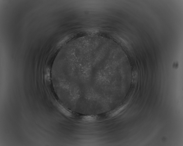 X0000095510238200801041207