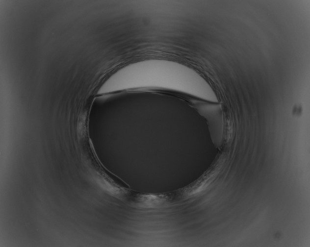 X0000095510239200801041207