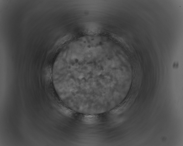 X0000095510240200801041207