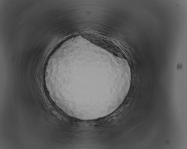 X0000095510241200801041206