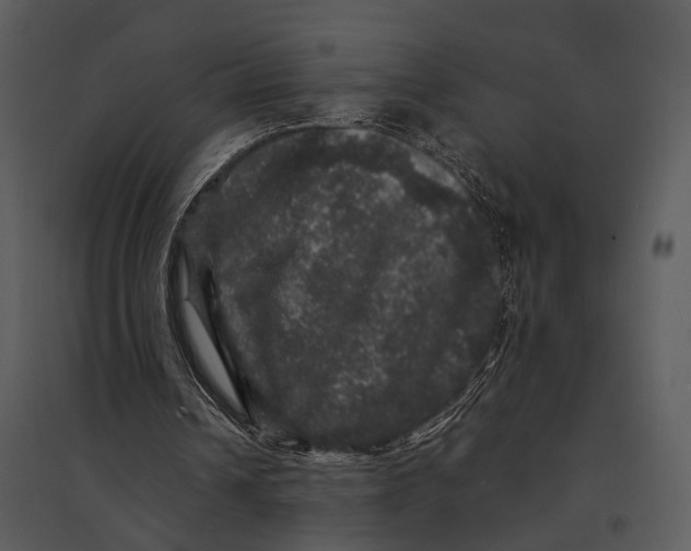 X0000095510242200801041206