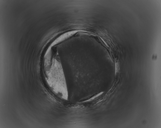 X0000095510243200801041206